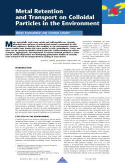 Metal Retention and Transport on Colloidal Particles in the
