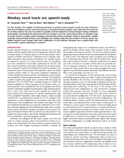 Monkey vocal tracts are speech