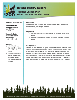 Post-Visit Lesson - Lake Superior Zoo