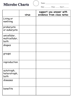 Log #19 (2/3) Microbe Charts