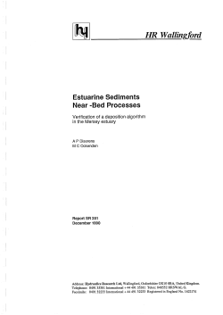 Estuarine sediments near-bed processes. Verification of a