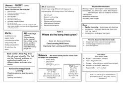 Literacy - POETRY- various Where do the bong trees grow? Maths &ndash;
