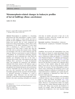 Metamorphosis-related changes in leukocyte profiles of larval bullfrogs