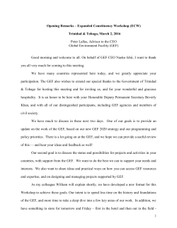 Opening Remarks &ndash; Expanded Constituency Workshop (ECW