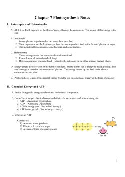Photosynthesis Teacher Notes