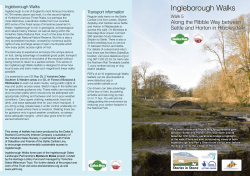 Ingleborough Walks - the Settle