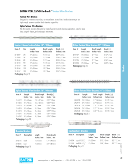 PDF Twisted Wire Brushes