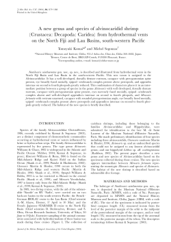 A new genus and species of alvinocaridid shrimp (Crustacea