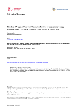 Structure of V-type ATPase from Clostridium fervidus by
