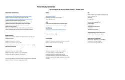 Pond Study Activities