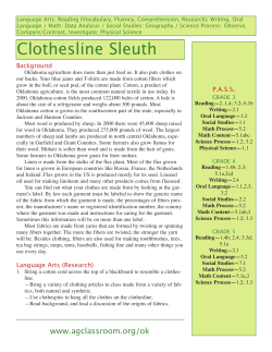 Clothesline Sleuth