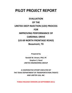pilot project report