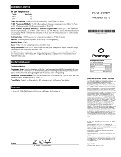 T4 DNA Polymerase Certificate of Analysis 9PIM421