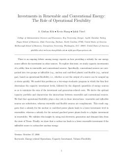 Investments in Renewable and Conventional Energy: The Role of
