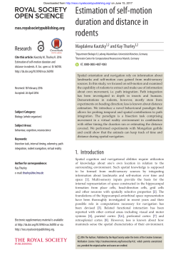 Estimation of self-motion duration and distance in rodents