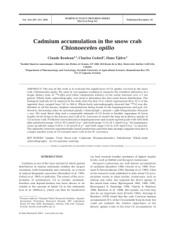 Cadmium accumulation in the snow crab Chionoecetes opilio