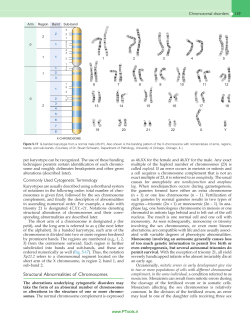 Structural Abnormalities of Chromosomes