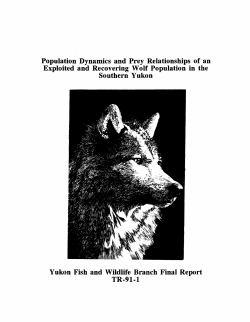 Population Dynamics and Prey Relationships of an Exploited and