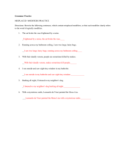 Grammar Practice MISPLACED MODIFIERS PRACTICE Directions