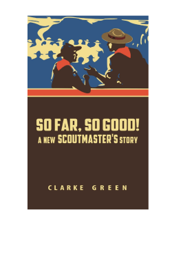 SFSG sample - Scoutmastercg.com