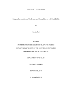Bridging Representations of North American Chinese Diaspora with