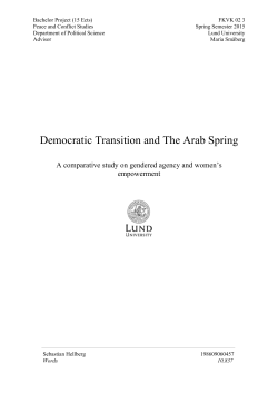 Democratic Transition and The Arab Spring