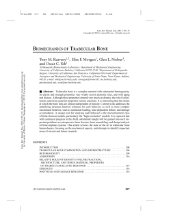 biomechanics of trabecular bone
