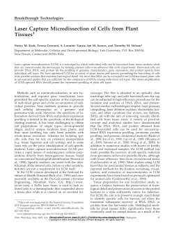 Laser Capture Microdissection of Cells from Plant