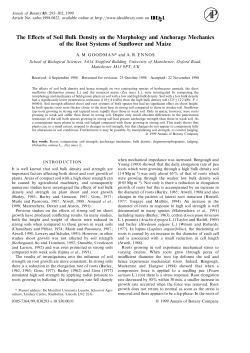The Effects of Soil Bulk Density on the