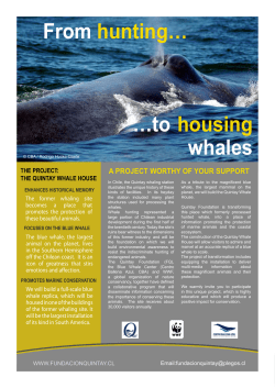 From hunting&hellip; &hellip;to housing whales