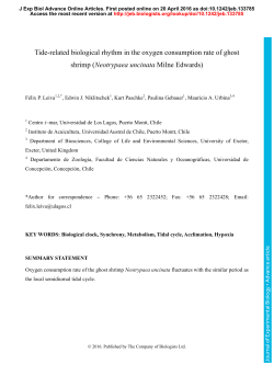 Tide-related biological rhythm in the oxygen consumption rate of