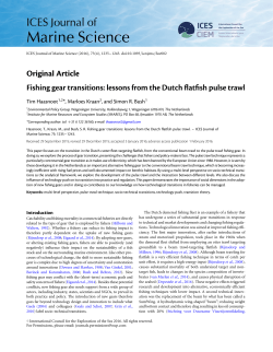 Fishing gear transitions: lessons from the Dutch flatfish pulse trawl