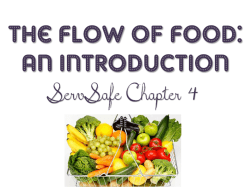 The Flow of Food: An Introduction