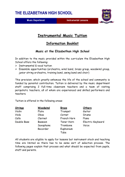 THE ELIZABETHAN HIGH SCHOOL Instrumental Music Tuition