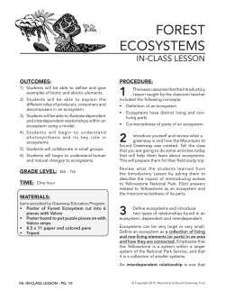 forest ecosystems - Mountains to Sound Greenway