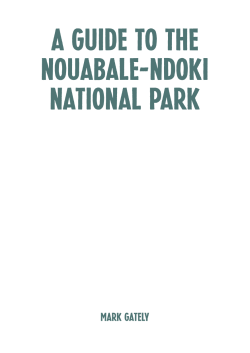 A Guide to the Nouabale-Ndoki National Park
