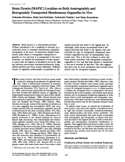 Brain Dynein - The Journal of Cell Biology