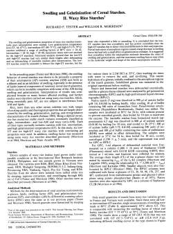 Swelling and Gelatinization of Cereal Starches. II. Waxy Rice Starches