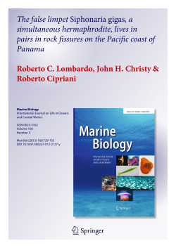 - Smithsonian Tropical Research Institute