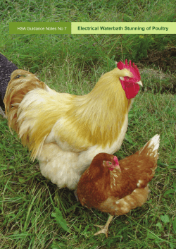 Electrical Waterbath Stunning of Poultry