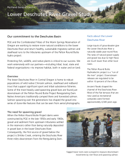 Gravel Study Fact Sheet - Portland General Electric