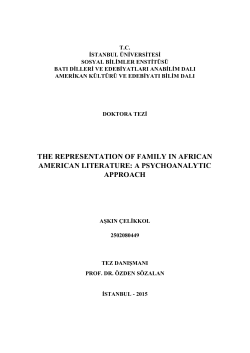 the representation of family in african american literature