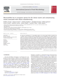 Microsatellite loci to recognize species for the cheese starter and