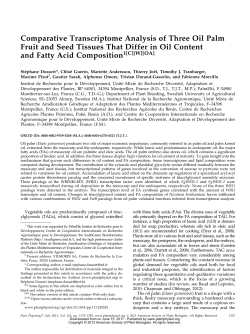 Comparative Transcriptome Analysis of Three Oil