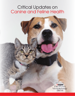 Print/View PDF: Critical Updates on Canine
