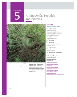 Amino Acids, Peptides, and Proteins