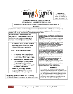 Fire Pit Series - Grand Canyon Gas Logs