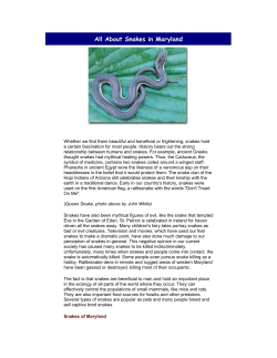 All About Snakes in Maryland