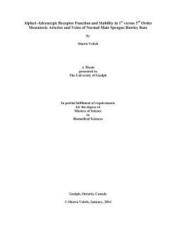 Alpha1-Adrenergic Receptor Function and Stability in 1