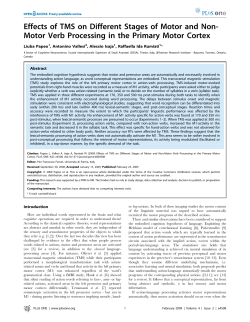 Effects of TMS on Different Stages of Motor and Non